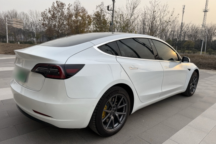 特斯拉 Model 3 2019款 标准续航后驱升级版车身外观6002