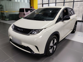 比亚迪 海豚 2023款 420km 时尚版