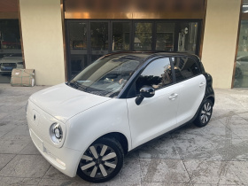 欧拉黑猫 2021款 351km 标准型