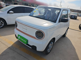 吉利银河 2024款 熊猫mini 200km 耐力熊