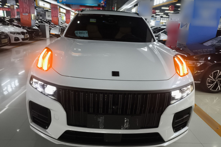 领克09 EM-P 2021款 2.0T PHEV Halo 六座车身外观6001