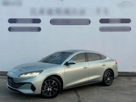 比亚迪 海豹06新能源 2024款 DM-i 120KM尊荣型