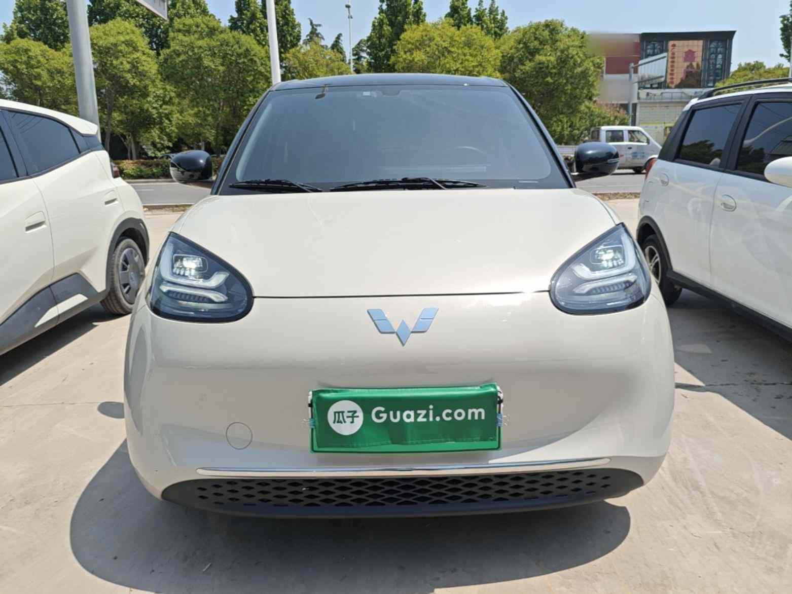 五菱汽车 五菱缤果 2024款 333km 悦享款(1)