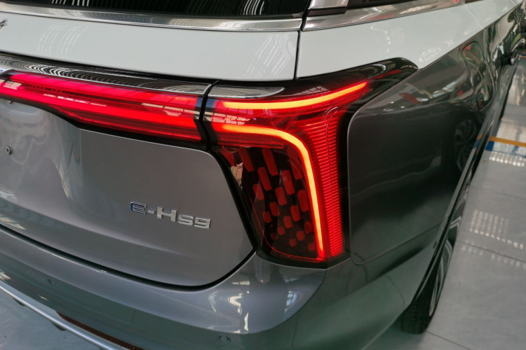 红旗E-HS9 2022款 660km 旗领版 四座车身外观9