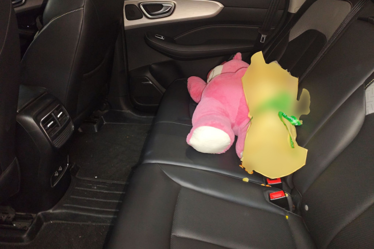 荣威RX5 2020款 PLUS 300TGI 自动Ali国潮旗舰版中控内饰21