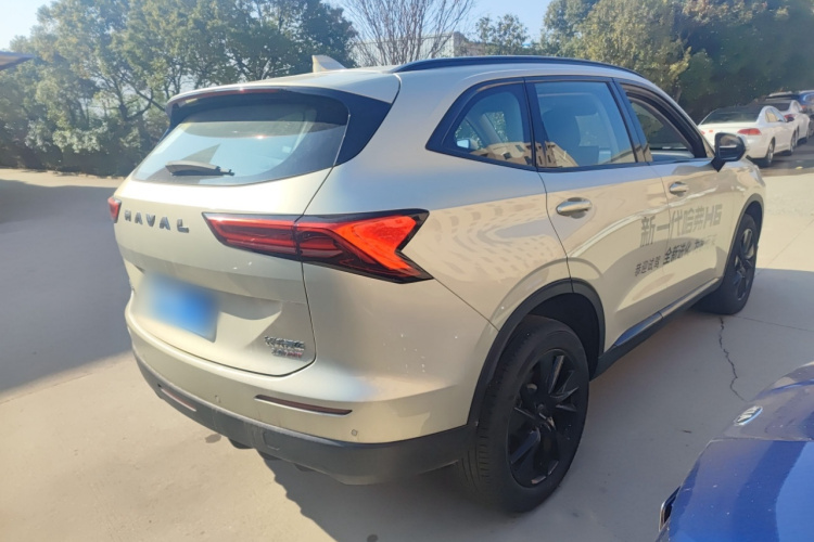 哈弗H6 2024款 2.0T 四驱Max车身外观6004