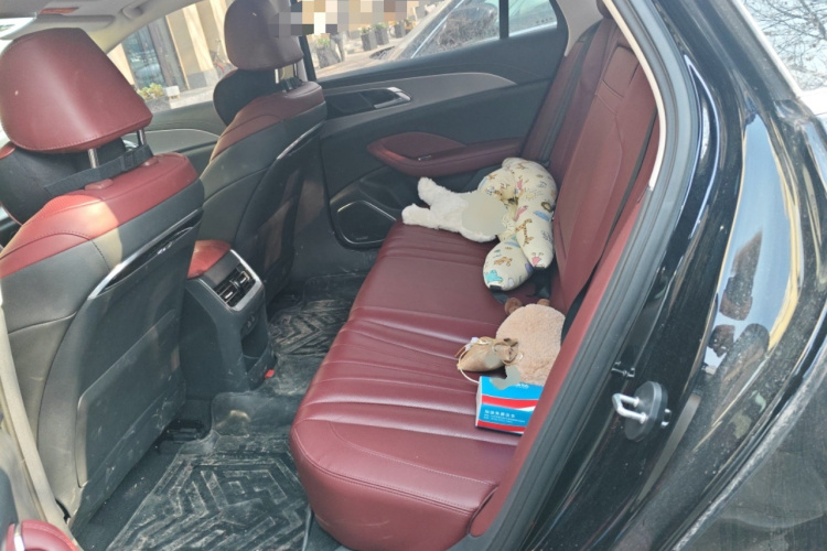 红旗H5 2023款 2.0T 自动智联旗畅版中控内饰7004