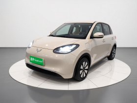 五菱汽车 五菱缤果 2024款 333km 悦享款