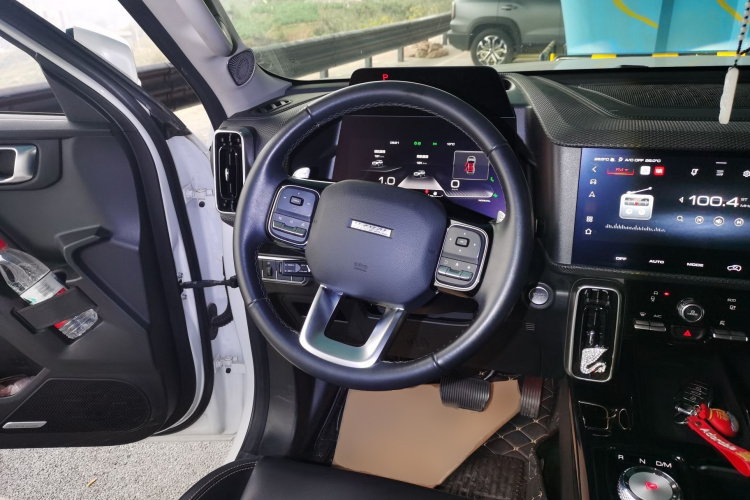 哈弗大狗 2021款 1.5T DCT两驱马犬-旺财版中控内饰13