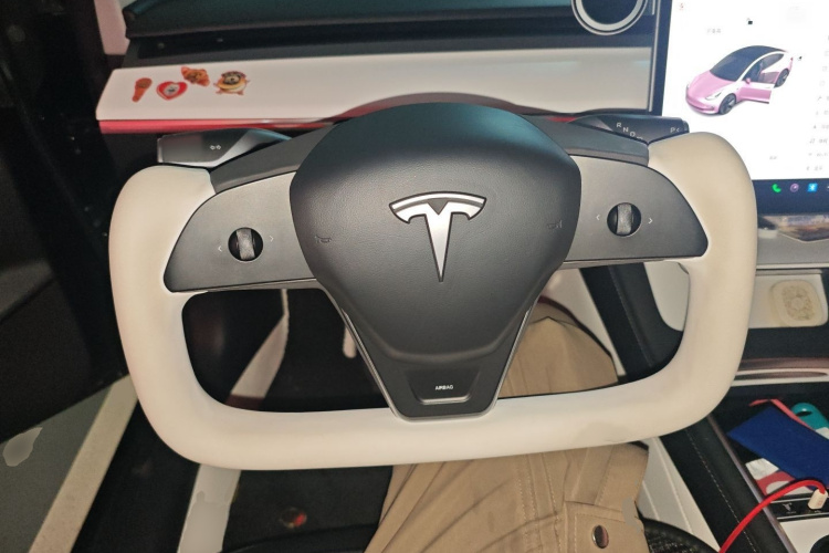 特斯拉 Model 3 2021款 标准续航后驱升级版 3D6局部细节13