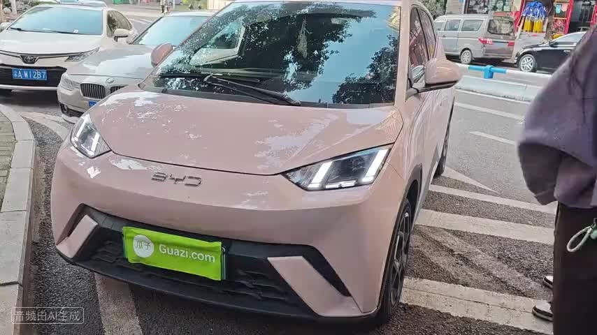 比亚迪 海鸥 2025款 305km 自由版检测视频1