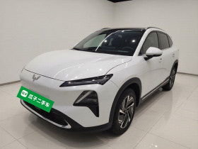 五菱汽车 五菱星光S 2024款 60km 进阶型