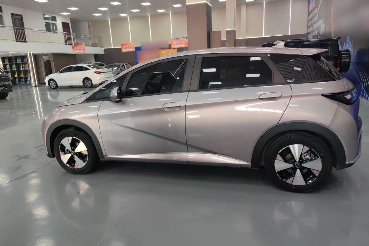 比亚迪 海豚 2023款 420km 自由版车身外观4