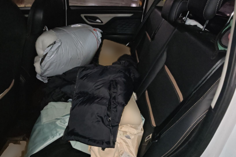 思皓 2022款 花仙子款 四叶草中控内饰7004