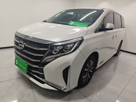 广汽传祺 传祺M8 2024款 领秀系列 390T 豪华版