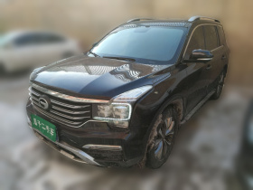 广汽传祺 传祺GS8 2017款 320T 四驱豪华智联版（七座）