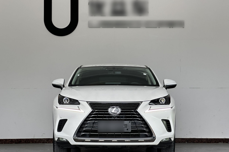 雷克萨斯NX 2020款 200 前驱 锋行版 国VI车身外观6001