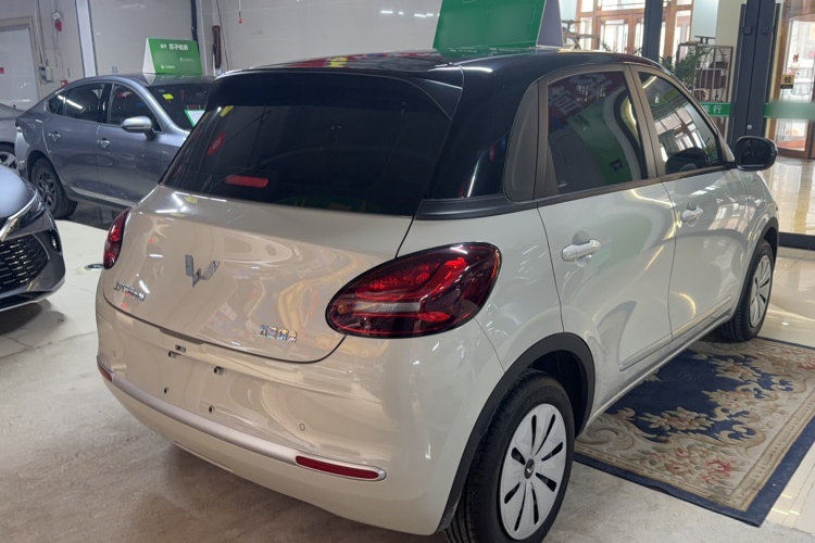 五菱汽车 五菱缤果 2024款 203km 轻享款车身外观6003