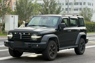 坦克300 2021款 越野版 2.0T 征服者