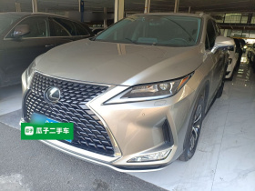 雷克萨斯RX 2020款 改款 300 两驱舒适版