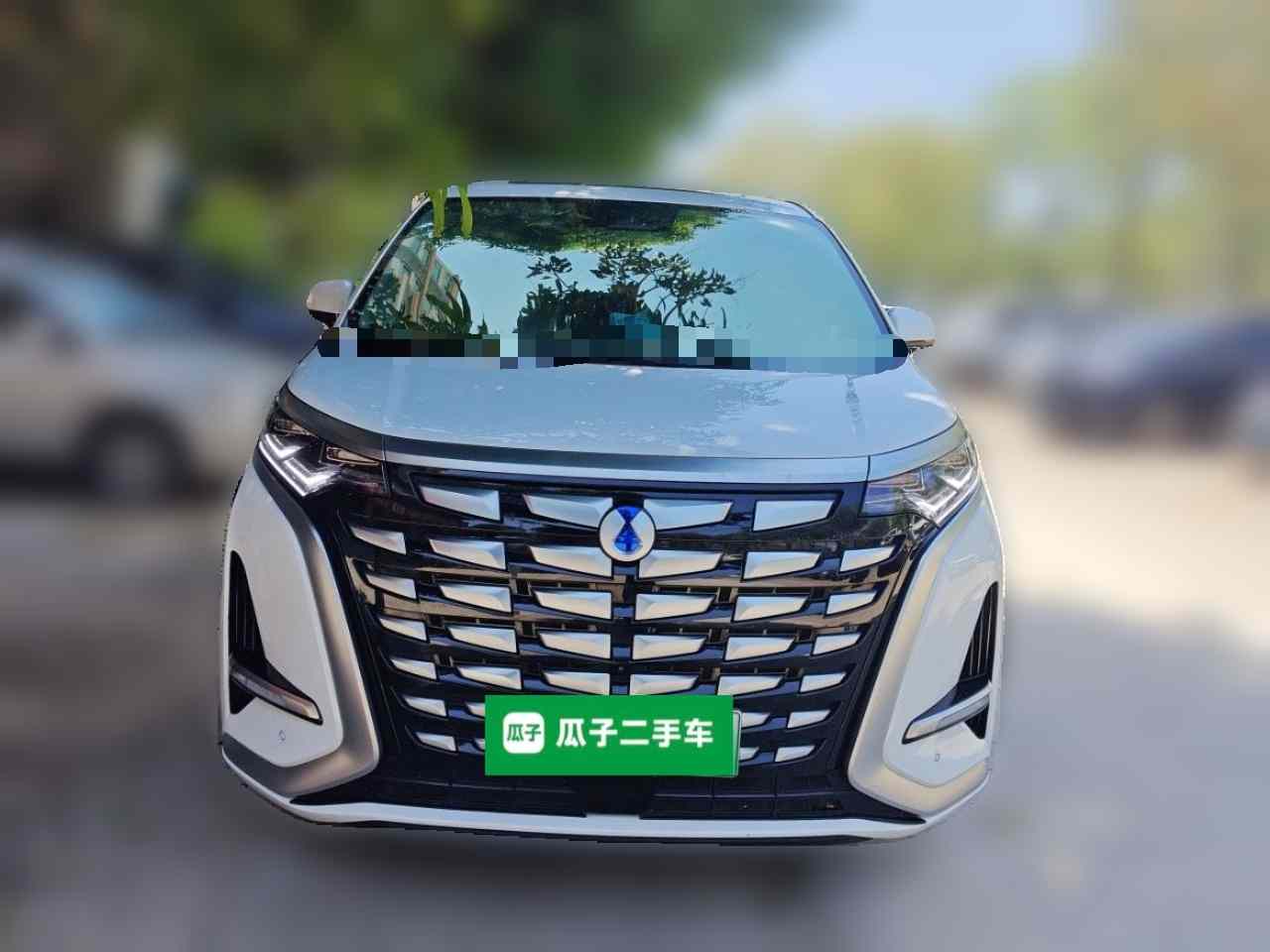 腾势D9 2022款 DM-i 945 豪华型(1)