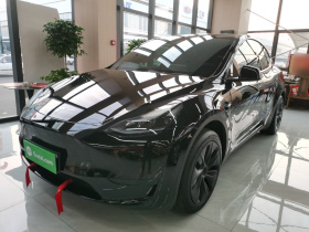 特斯拉 Model Y 2024款 后轮驱动版