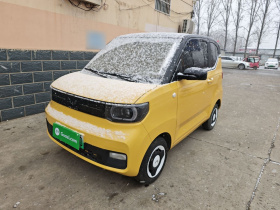 五菱汽车 宏光MINIEV 2021款 马卡龙时尚款 三元锂