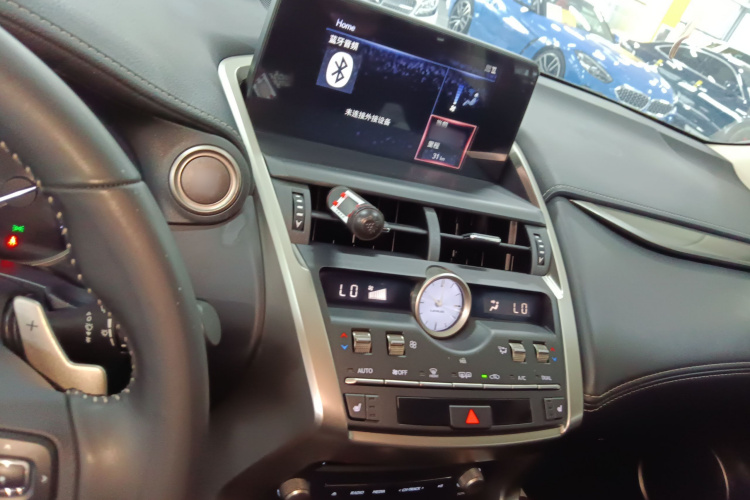 雷克萨斯NX 2020款 300 前驱 锋行版 国V局部细节16