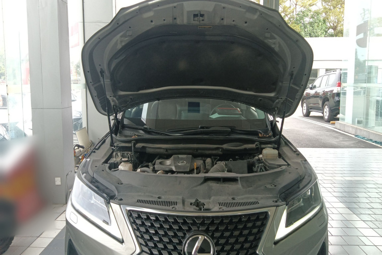 雷克萨斯RX 2020款 改款 300 两驱精英版机舱底盘24