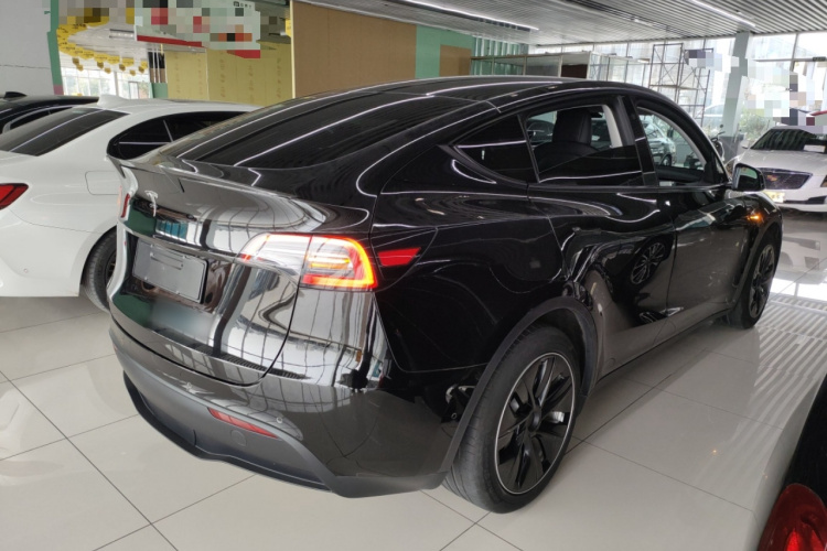 特斯拉 Model Y 2021款 标准续航后驱版车身外观6005