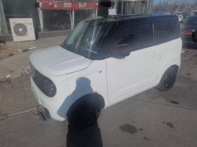 吉利银河 2024款 熊猫mini 200km 耐力熊