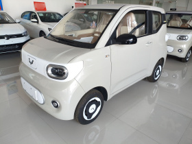 五菱汽车 宏光MINIEV 2024款 第三代 215km 青春版