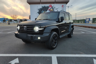 坦克300 2021款 越野版 2.0T 征服者