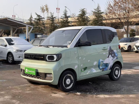 五菱汽车 宏光MINIEV 2022款 马卡龙时尚款 磷酸铁锂