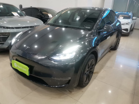 特斯拉 Model Y 2023款 长续航全轮驱动版