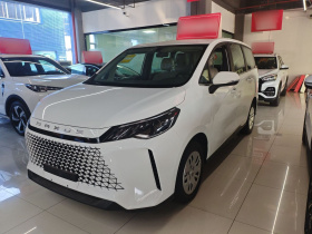 上汽大通MAXUS 大通G50 2024款 PLUS 1.5T 幸福推荐自动荣耀版