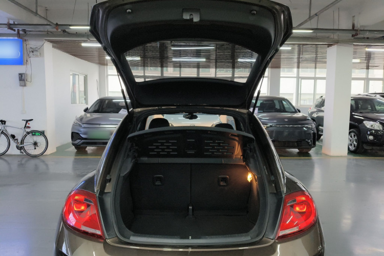 大众 甲壳虫 2014款 1.2TSI 时尚型局部细节23