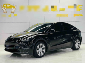 特斯拉 Model Y 2022款 长续航全轮驱动版