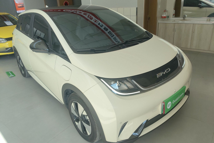 比亚迪 海豚 2023款 420km 时尚版车身外观3