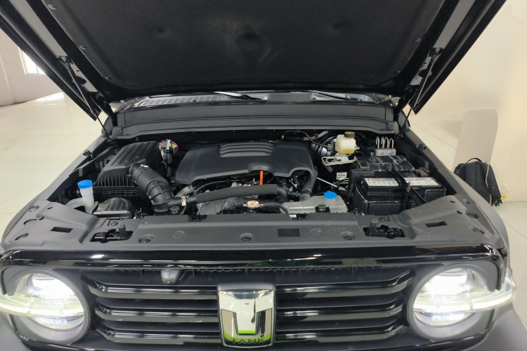 坦克300 2021款 越野版 2.0T 挑战者机舱底盘24