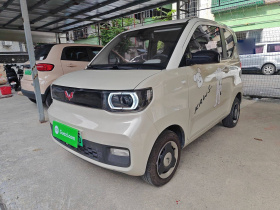 五菱汽车 宏光MINIEV 2021款 马卡龙时尚款 三元锂