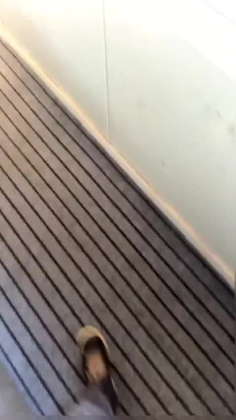 丰田 锋兰达 2022款 2.0L CVT精英版讲解2