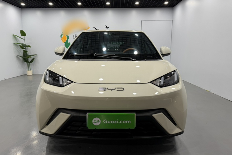 比亚迪 海鸥 2023款 活力版车身外观6001