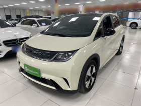 比亚迪 海豚 2023款 420km 时尚版