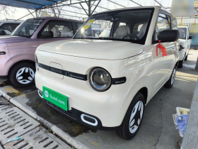 吉利银河 熊猫 2025款 210km 元气熊