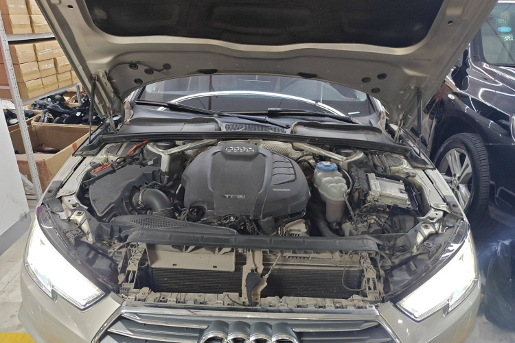 奥迪A4L 2017款 Plus 40 TFSI 运动型局部细节24