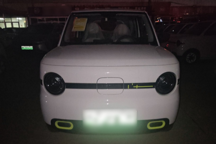 吉利银河 熊猫 2025款 210km 元气熊车身外观2