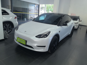 特斯拉 Model Y 2024款 后轮驱动版