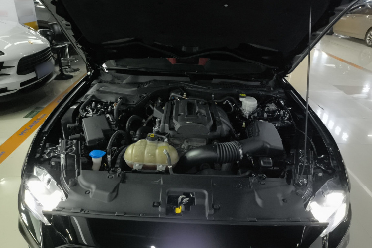 福特Mustang（平行进口） 机舱底盘24