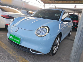 欧拉好猫 2021款 400km标准续航 维纳斯版 三元锂